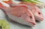 Picture of Red Snapper Fish (Cleaned)